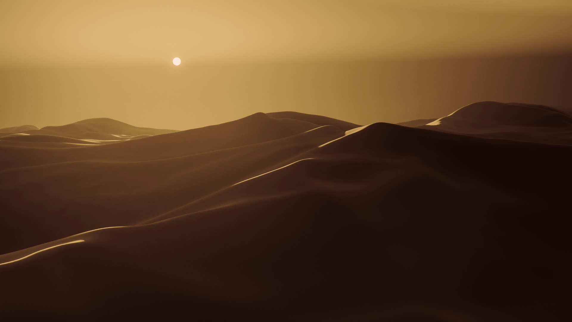 Sweeping Rajasthan desert landscape at golden hour