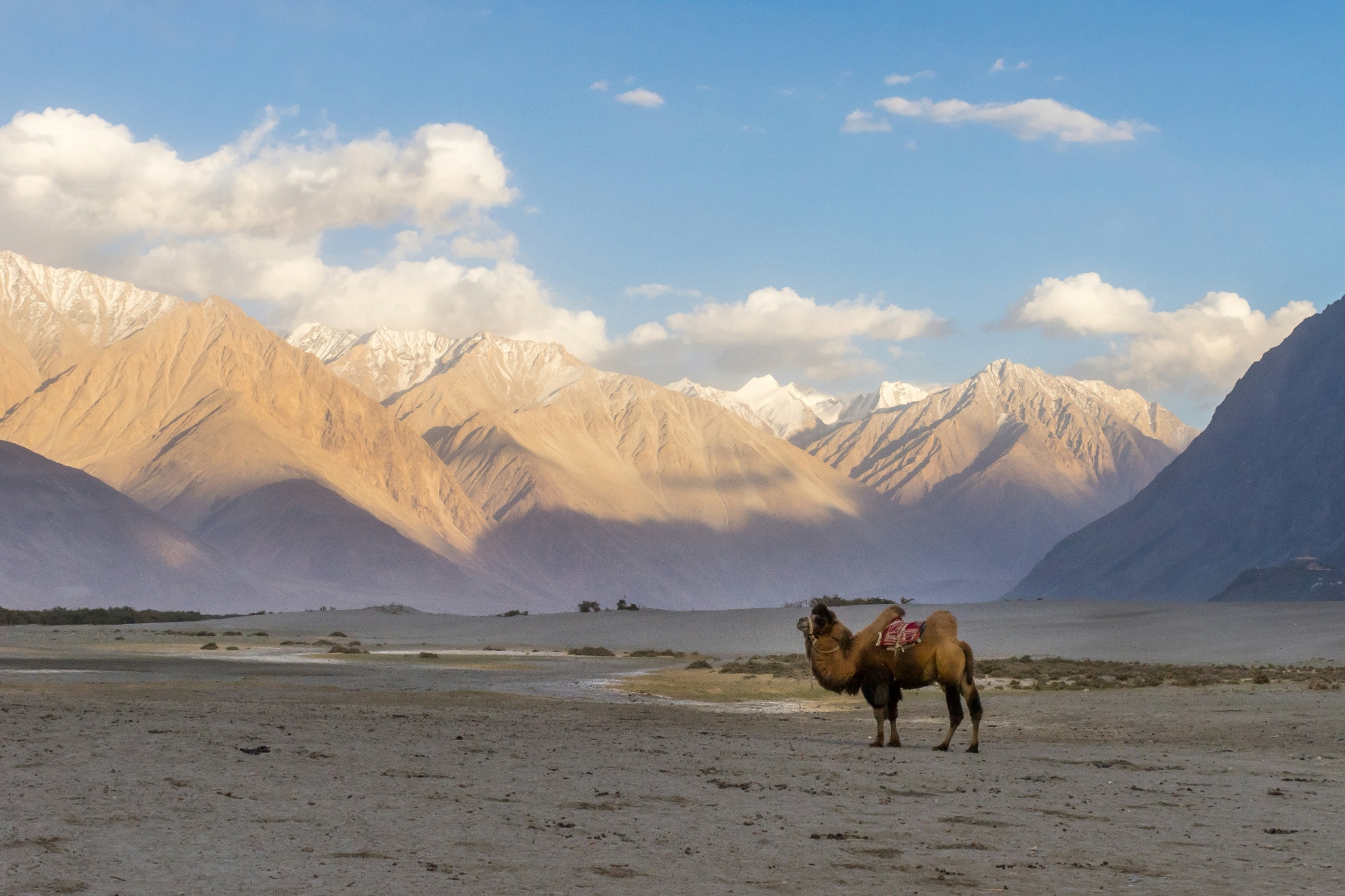 Nubra Valley and Pangong Lake, Ladakh